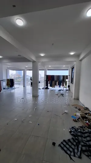 Big Private Office Flow 2 at Sinza Kijiweni