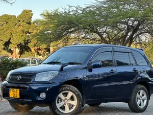 Toyota RAV4 2004 Blue