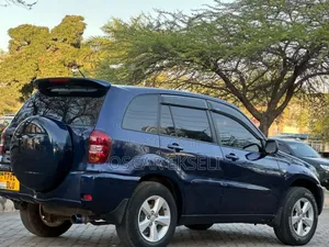 Toyota RAV4 2004 Blue