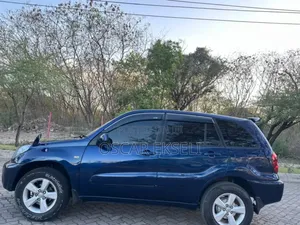 Toyota RAV4 2004 Blue