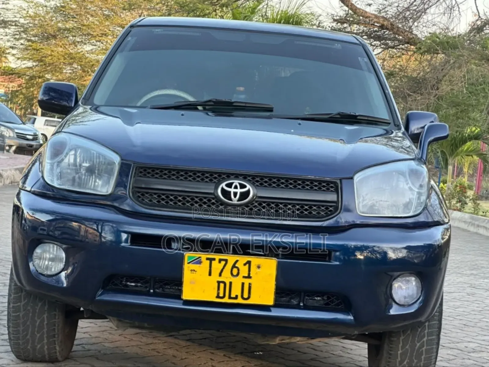 Toyota RAV4 2004 Blue