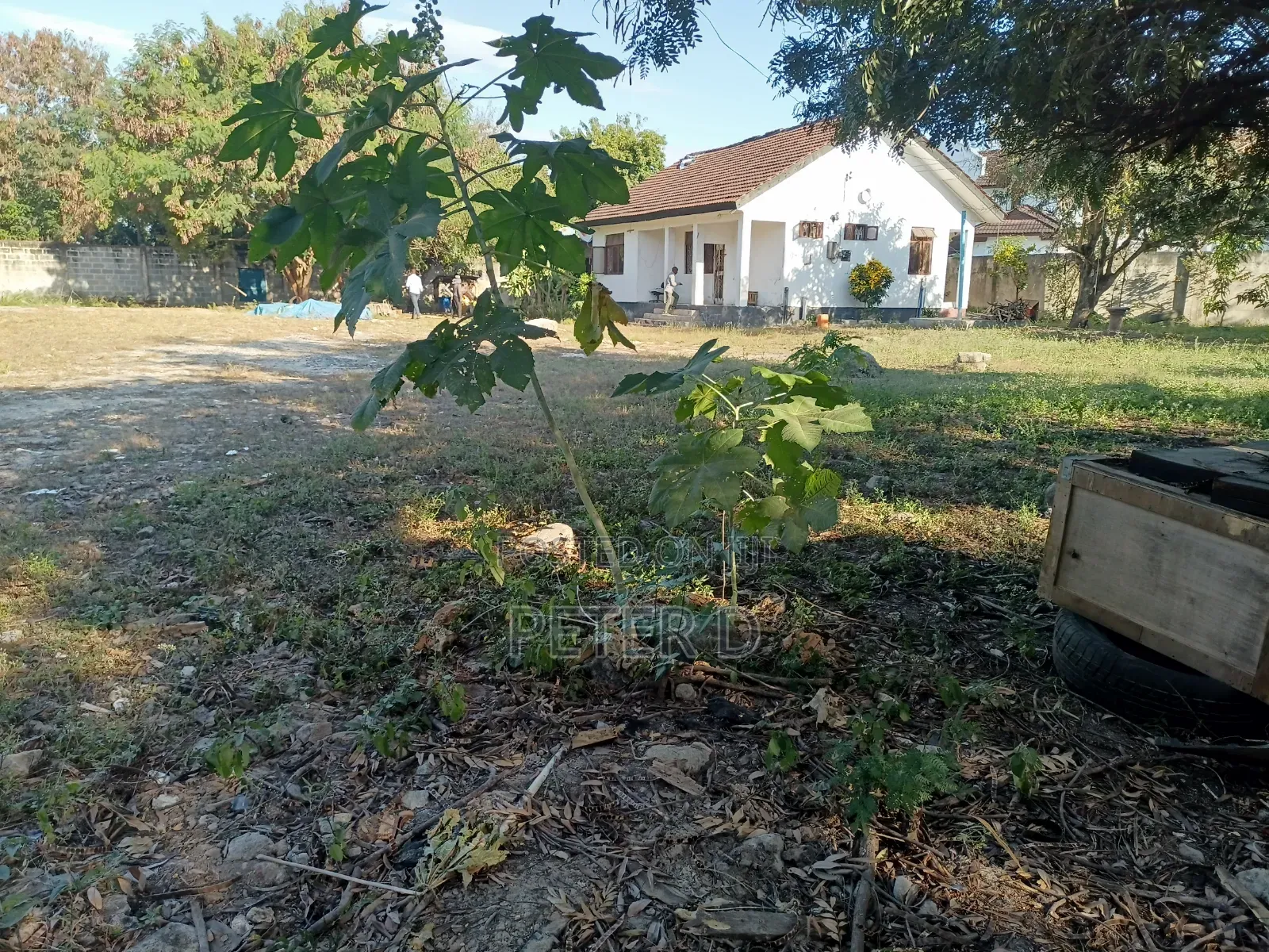 2600sqm Yard for Rent in Mikocheni