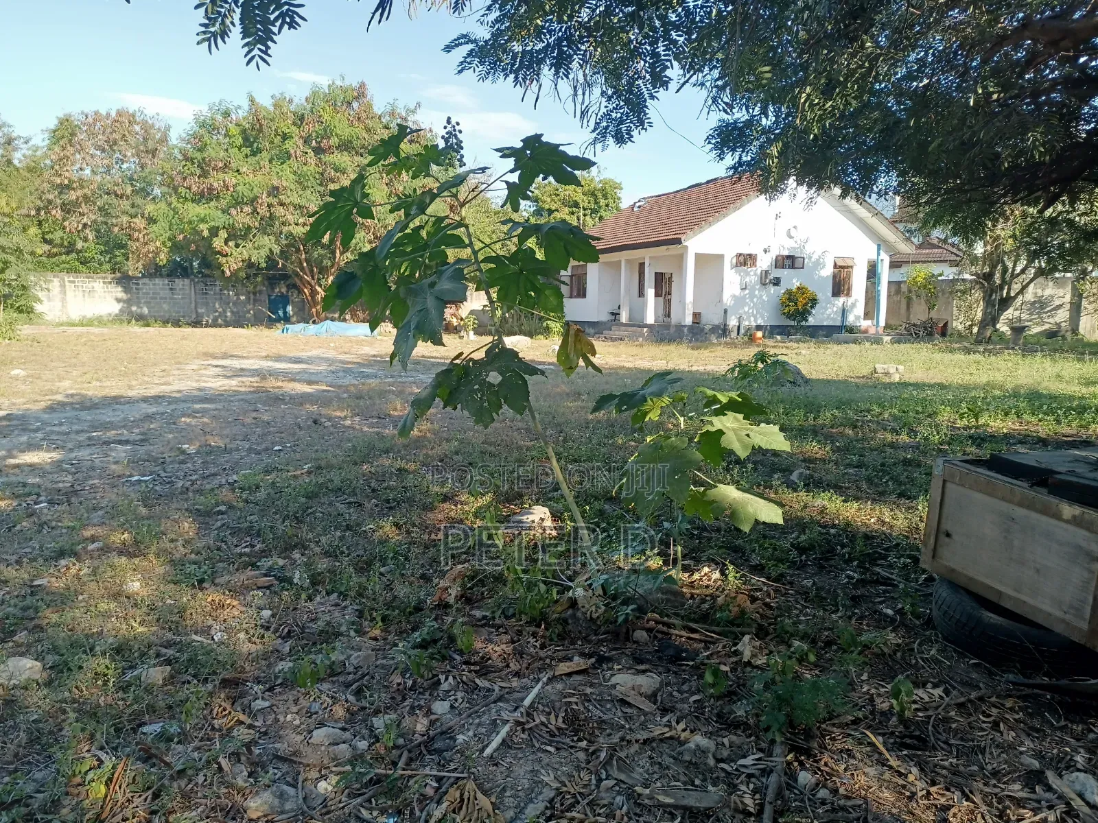 2600sqm Yard for Rent in Mikocheni