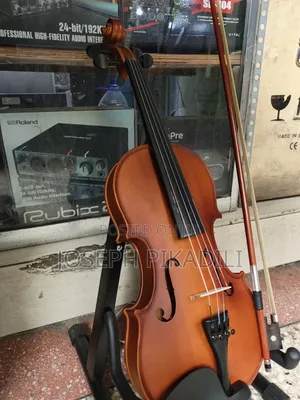 Violin Cecilio 4/4