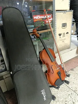 Violin Cecilio 4/4