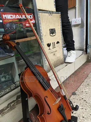 Violin Cecilio 4/4