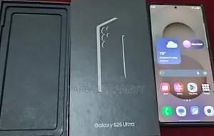 Samsung Galaxy S25 Ultra 256 GB Gray