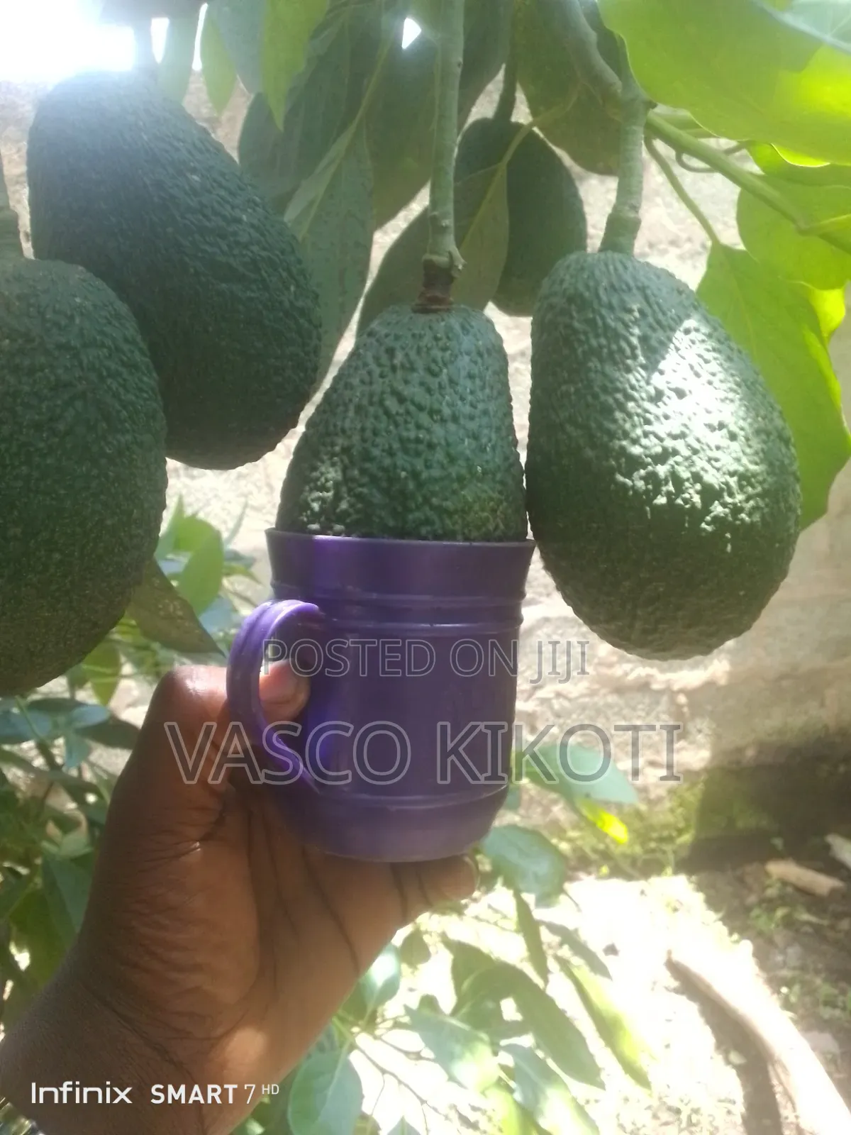 Miche Ya Matunda