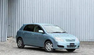 Toyota Allex 2004 Blue