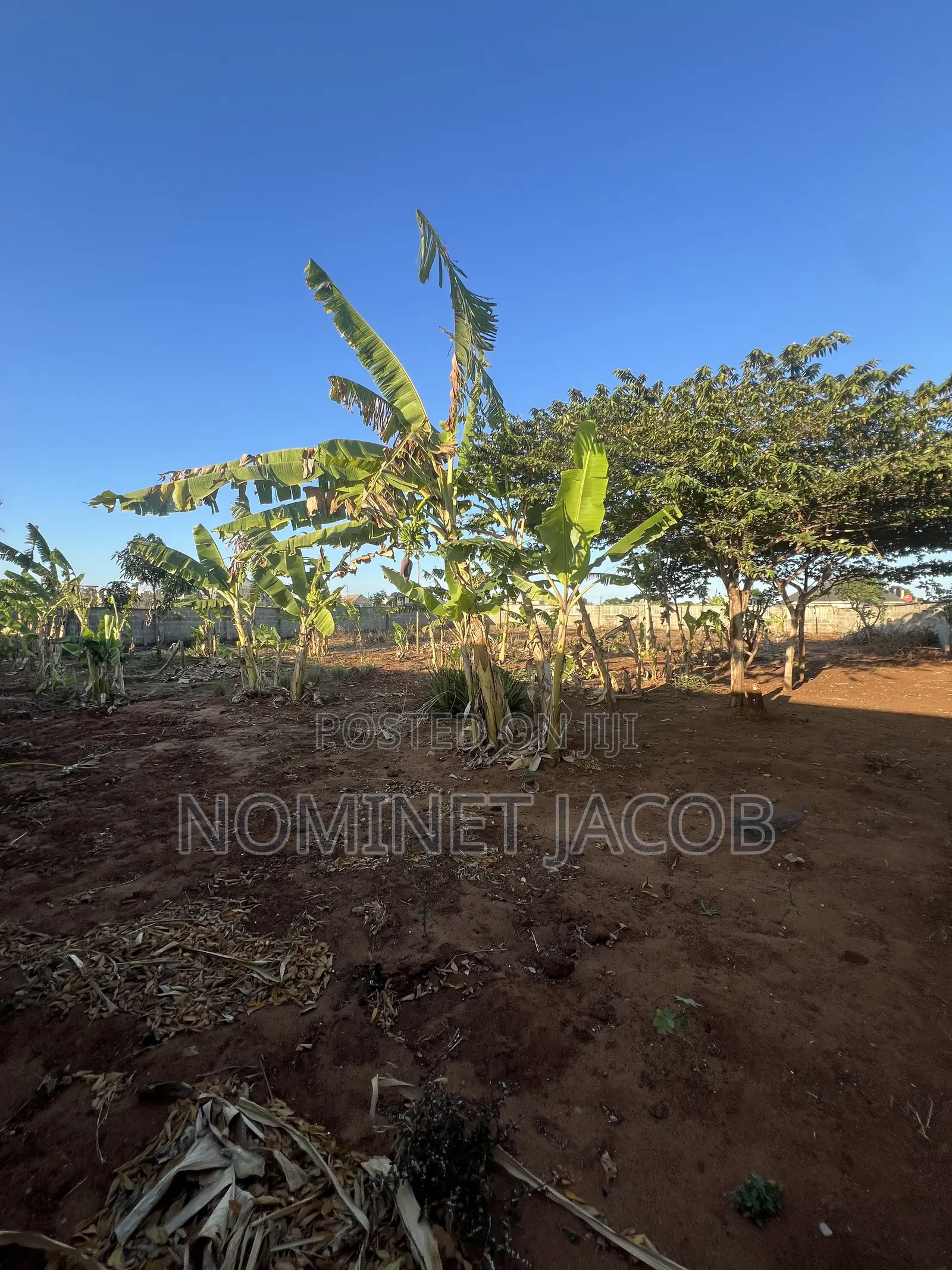 Plot for Sale