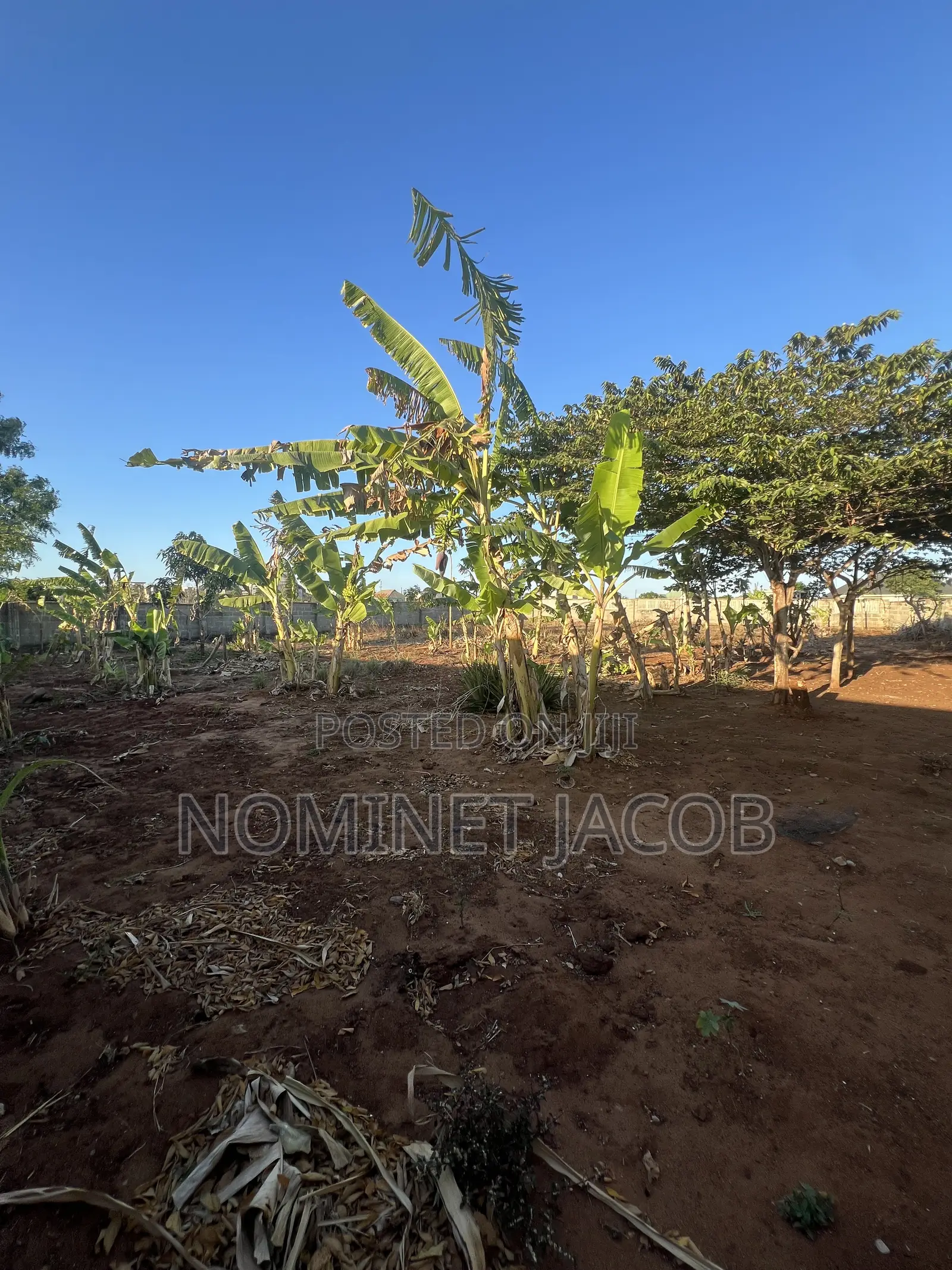 Plot for Sale