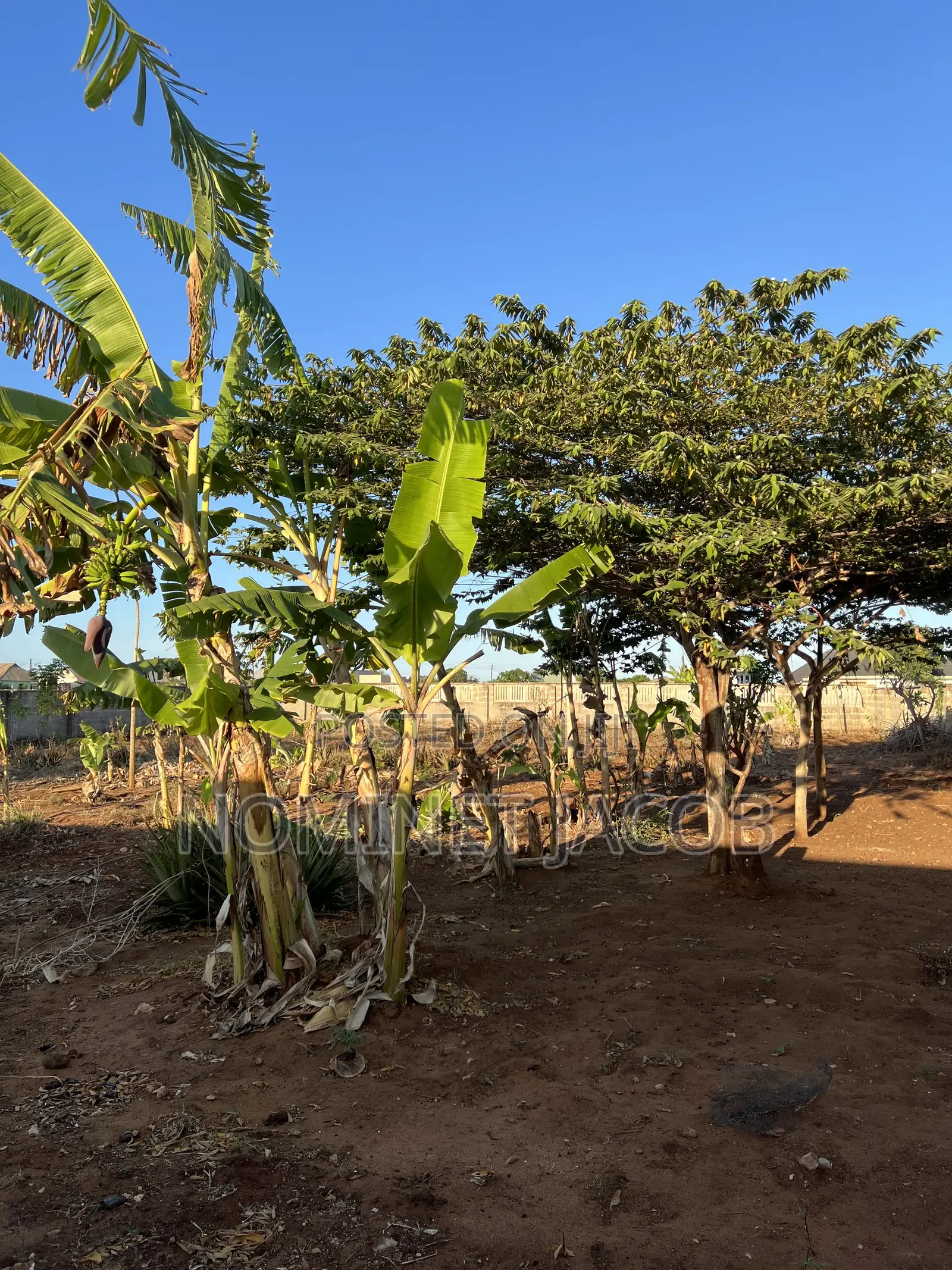 Plot for Sale