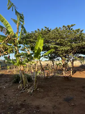 Plot for Sale