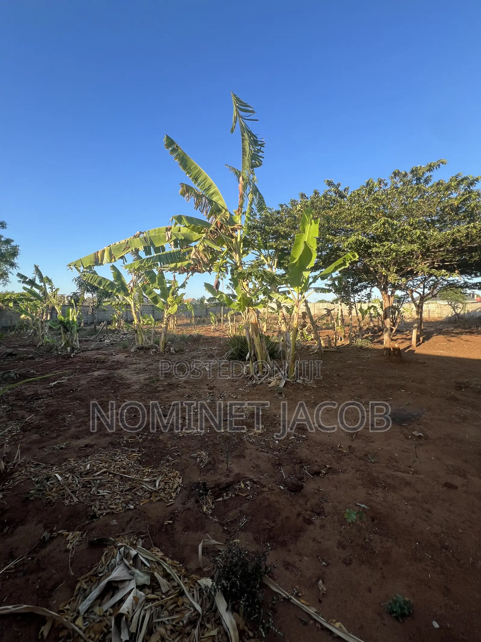 Plot for Sale
