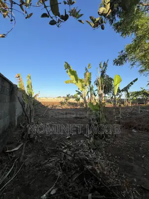 Plot for Sale