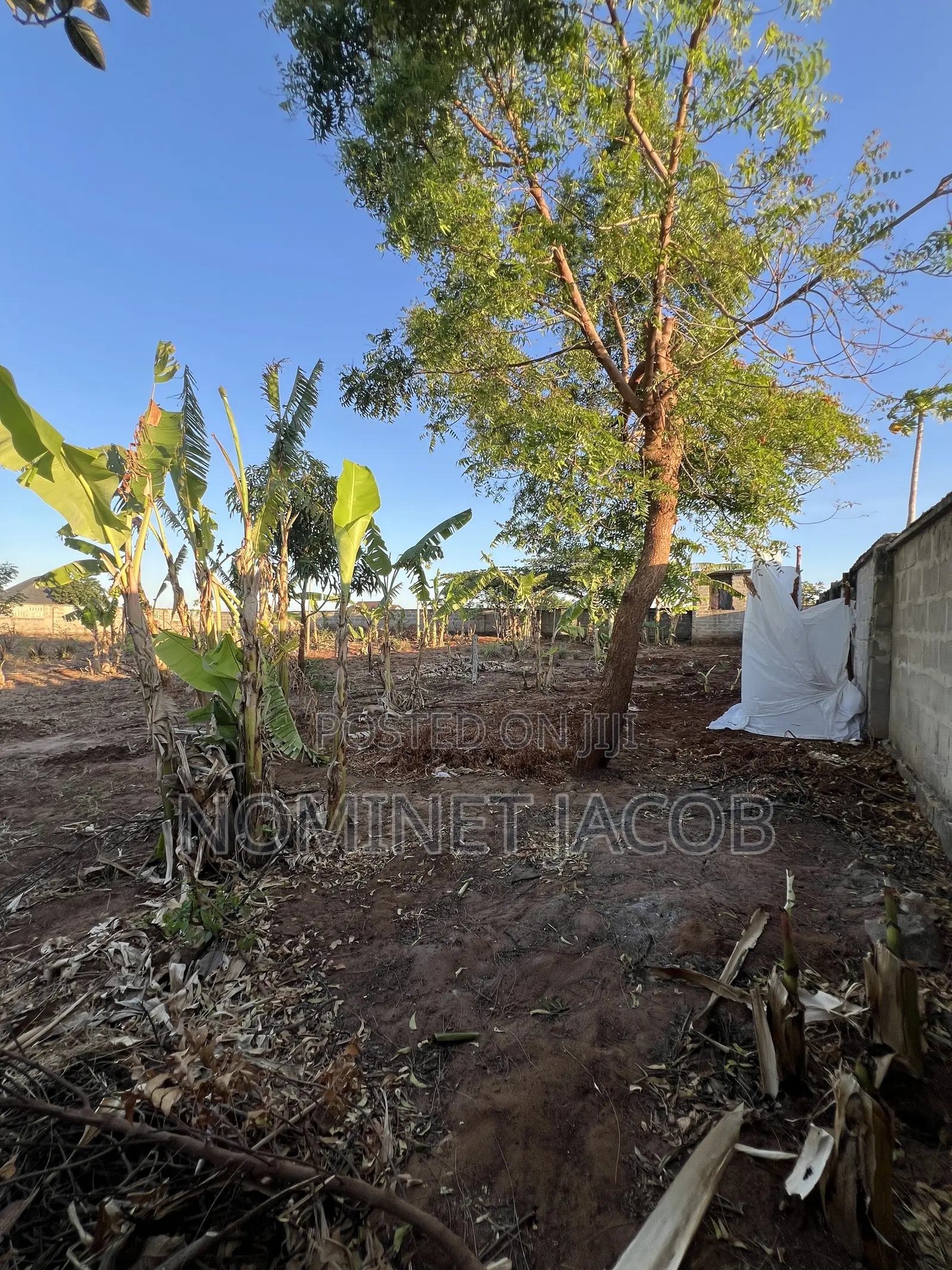Plot for Sale