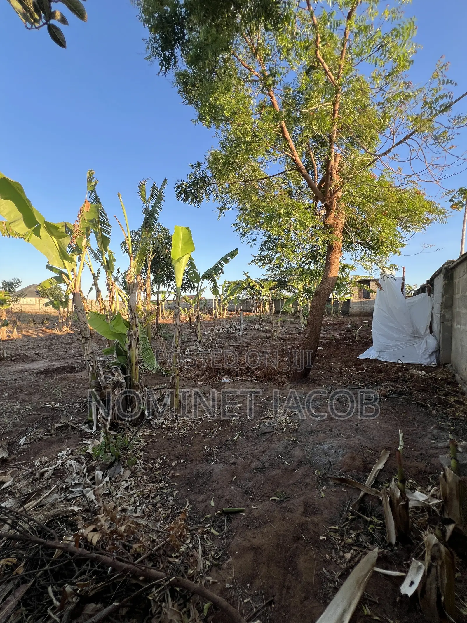 Plot for Sale