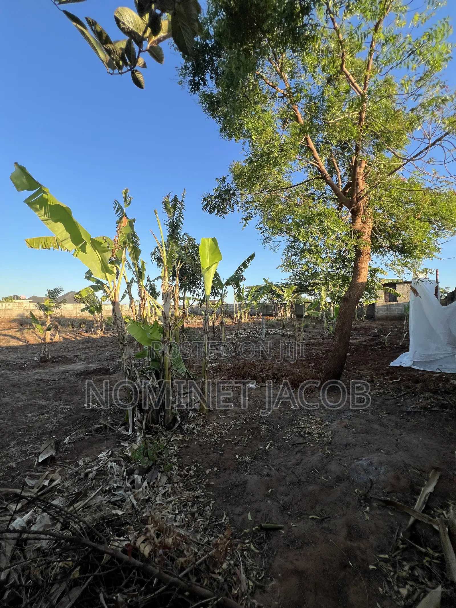 Plot for Sale
