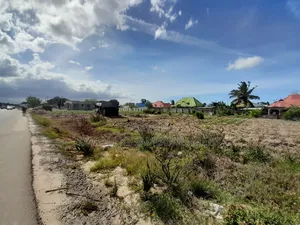 Kiwanja Kinauzwa Kigamboni Kibada Block 15