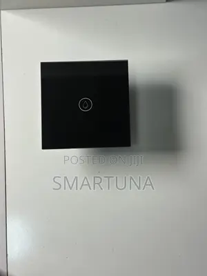 One Gang Smart Switches