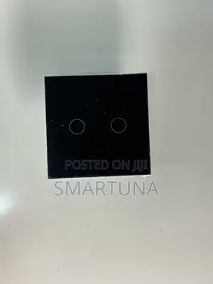 2 Gang Smart Switches