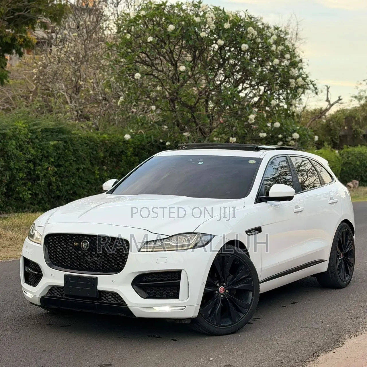 Jaguar F-Pace 2017 White