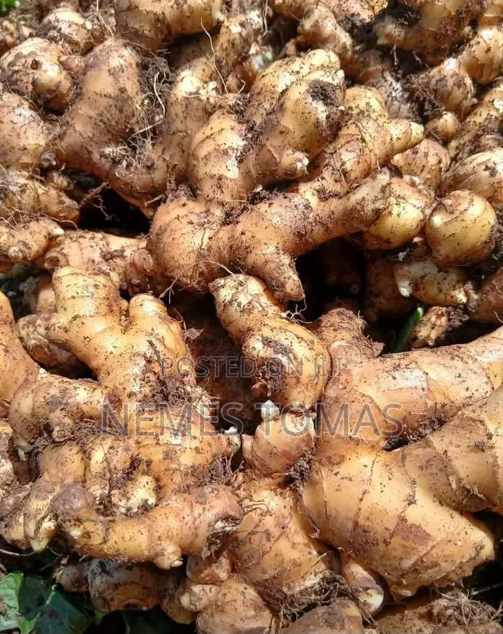 Nauza Tangawizi Mbichi Kutoka Shamba