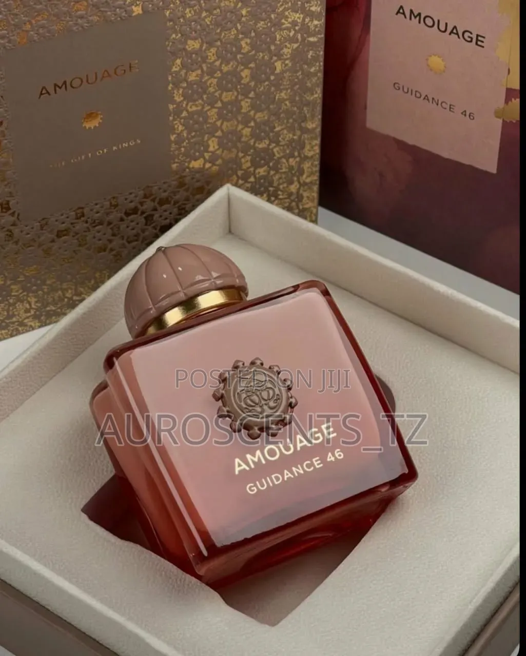 Amouage Guidance 46