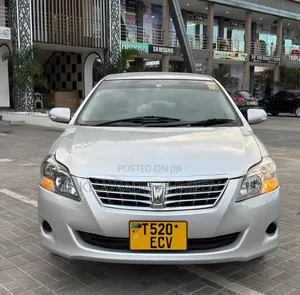 Toyota Premio 2009 Silver
