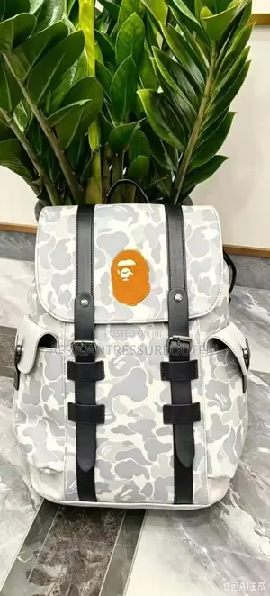 A Bathing Ape (Bape) Camo Bagspack Featuring a Centered Ape Head