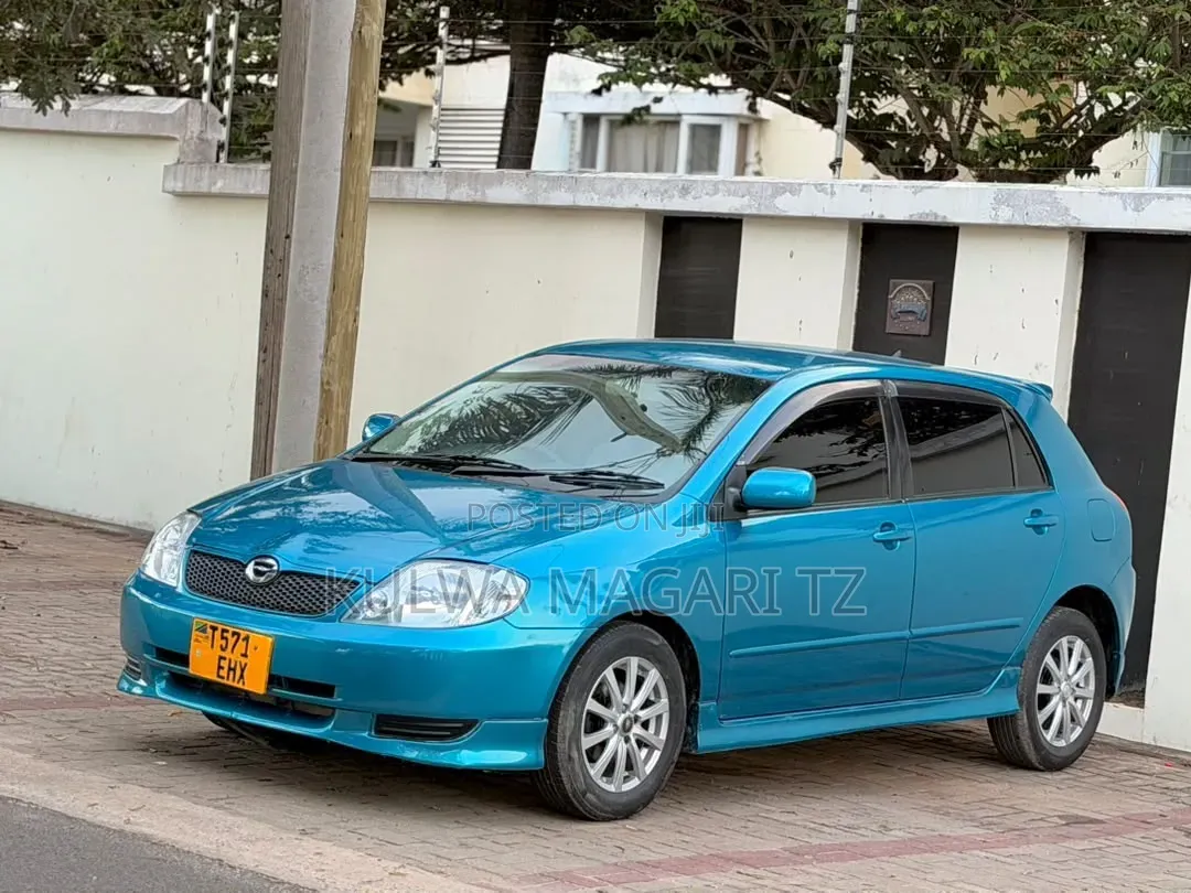 Toyota Allex 2003 Blue