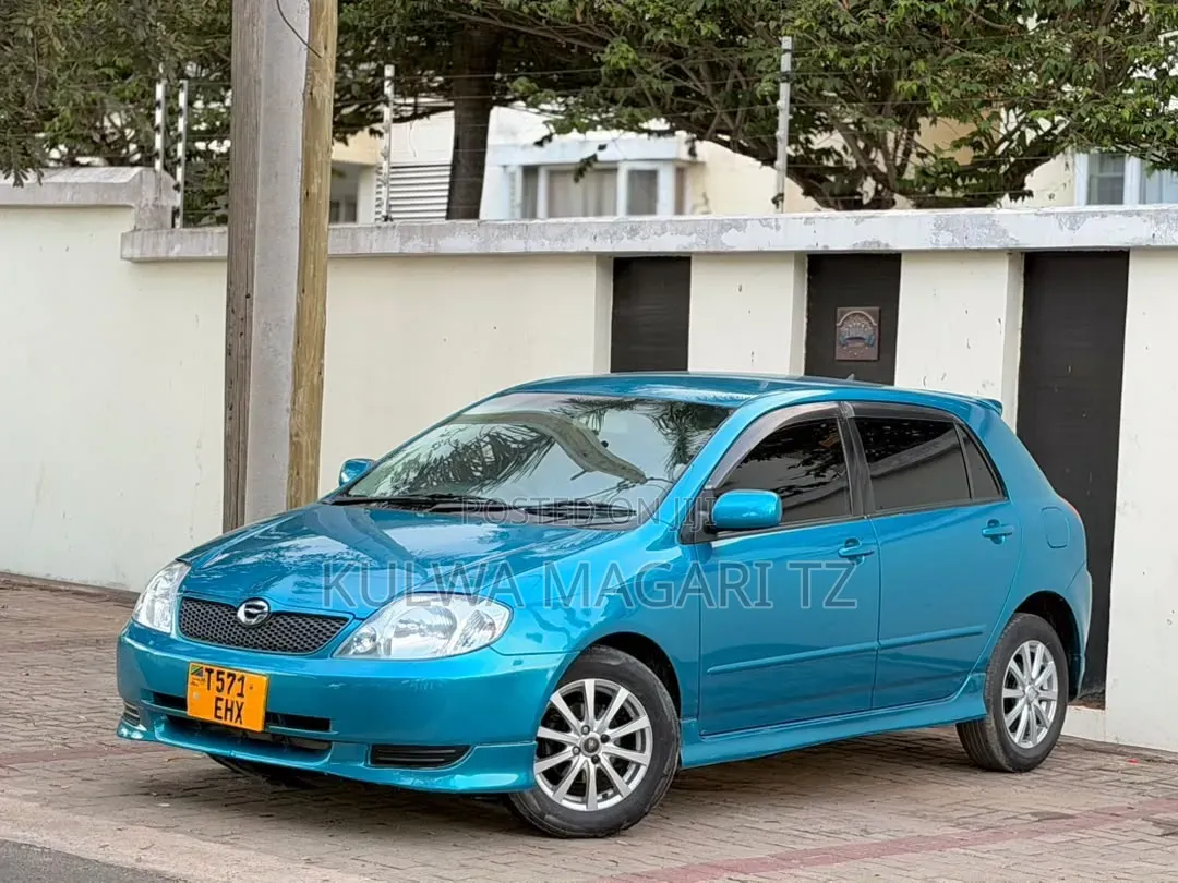 Toyota Allex 2003 Blue