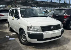 Toyota Probox 2008 Pearl
