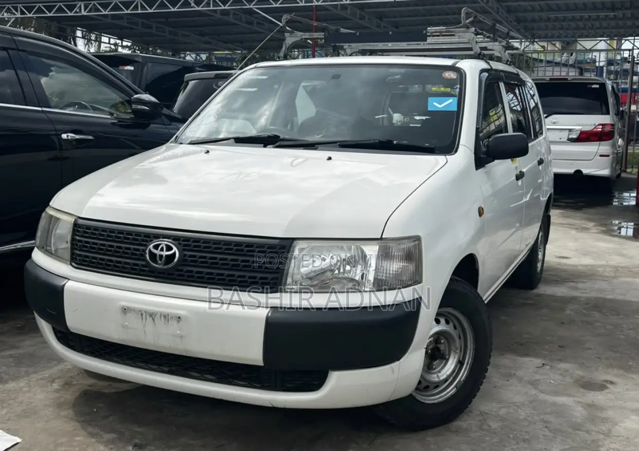 Toyota Probox 2008 Pearl