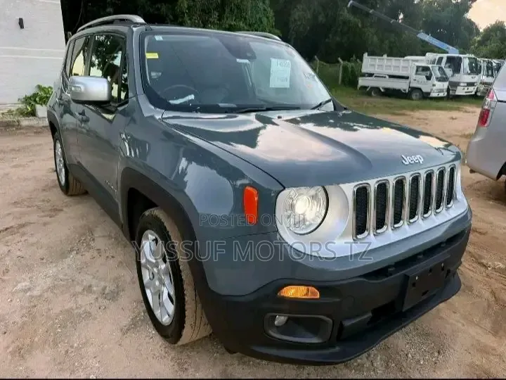 Jeep Renegade 2016 Gray