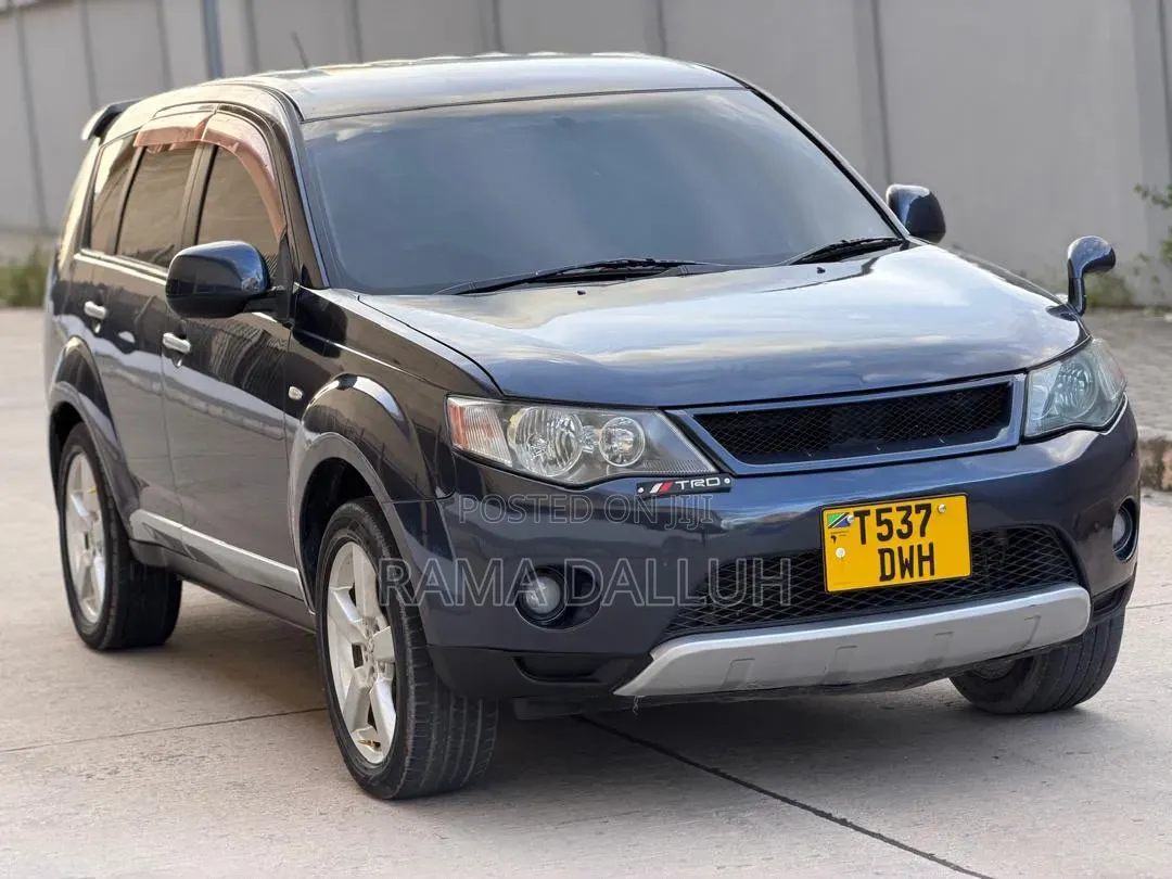Mitsubishi Outlander 2006 Gray