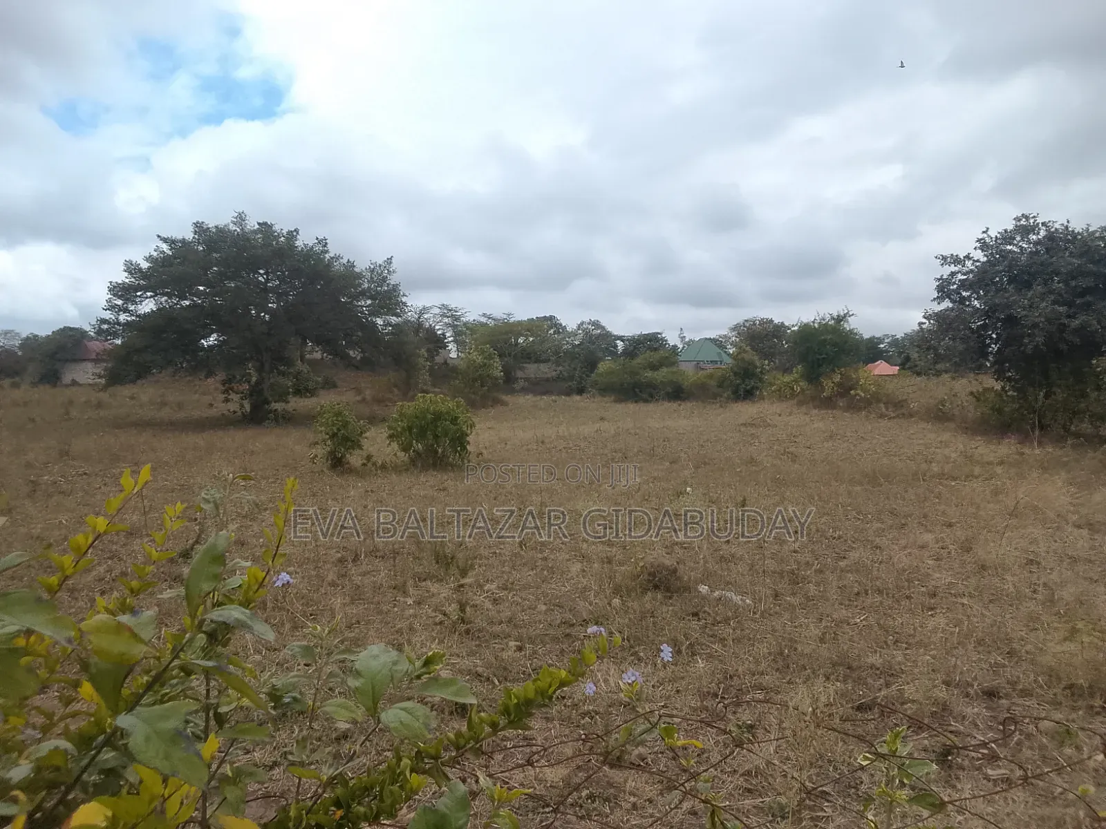 Eneo La Ukubwa Wa 1788sqm Na Nyongeza Ya 250sqr Linauzwa