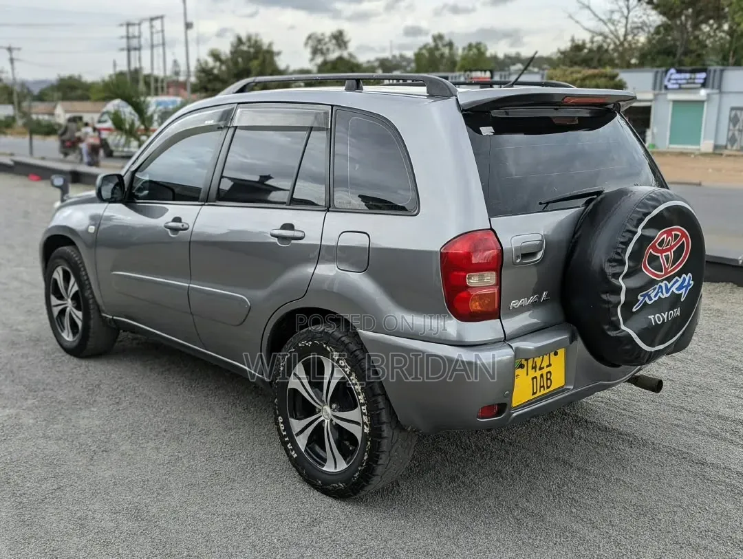 Toyota RAV4 2004 Silver