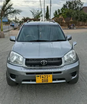 Toyota RAV4 2004 Silver