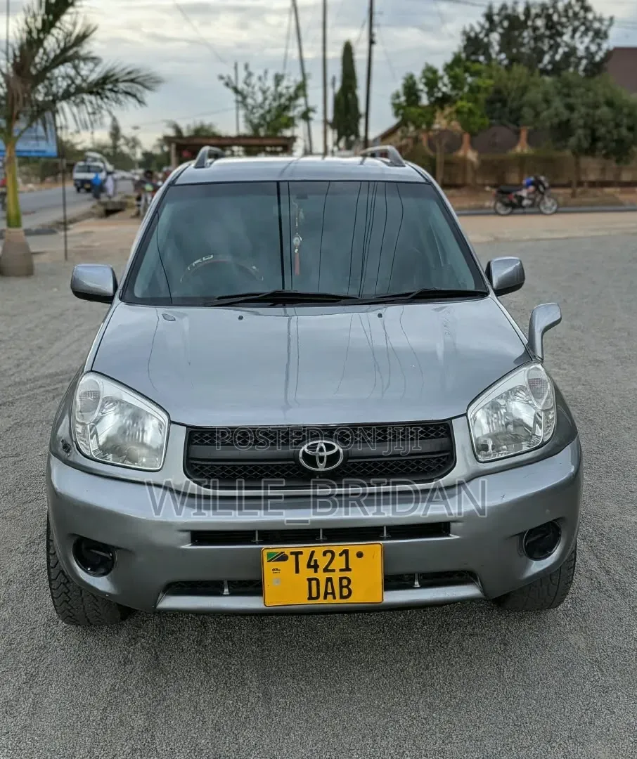 Toyota RAV4 2004 Silver