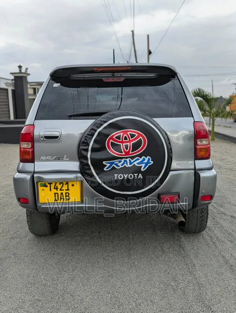 Toyota RAV4 2004 Silver