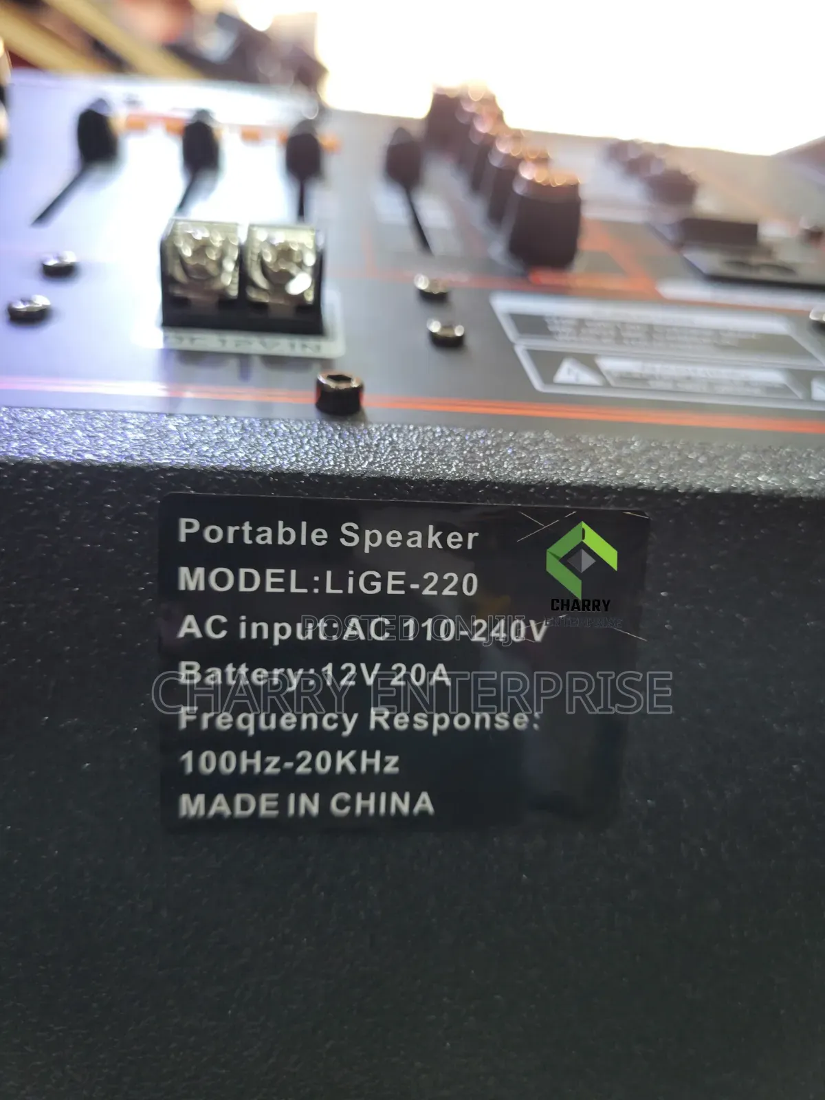Lige 12inch ×2 Double Rechargeable Speaker With Stand, Amplifier 2 Mic