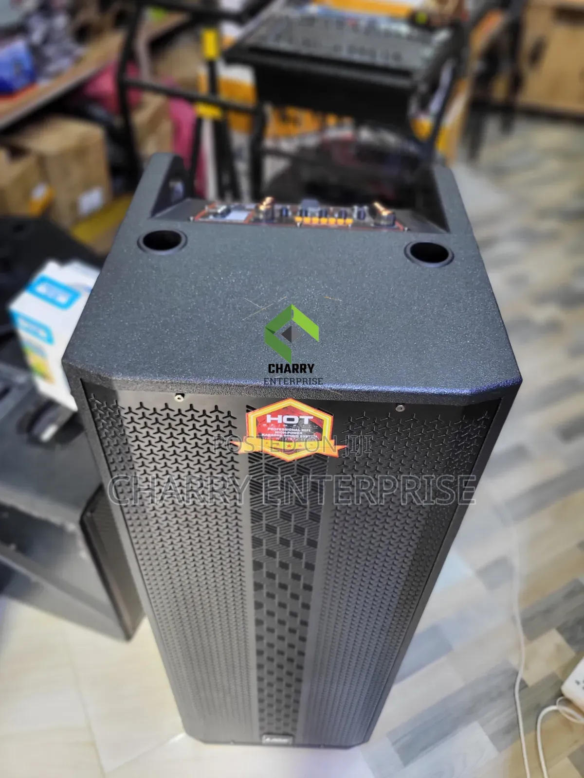 Lige 12inch ×2 Double Rechargeable Speaker With Stand, Amplifier 2 Mic
