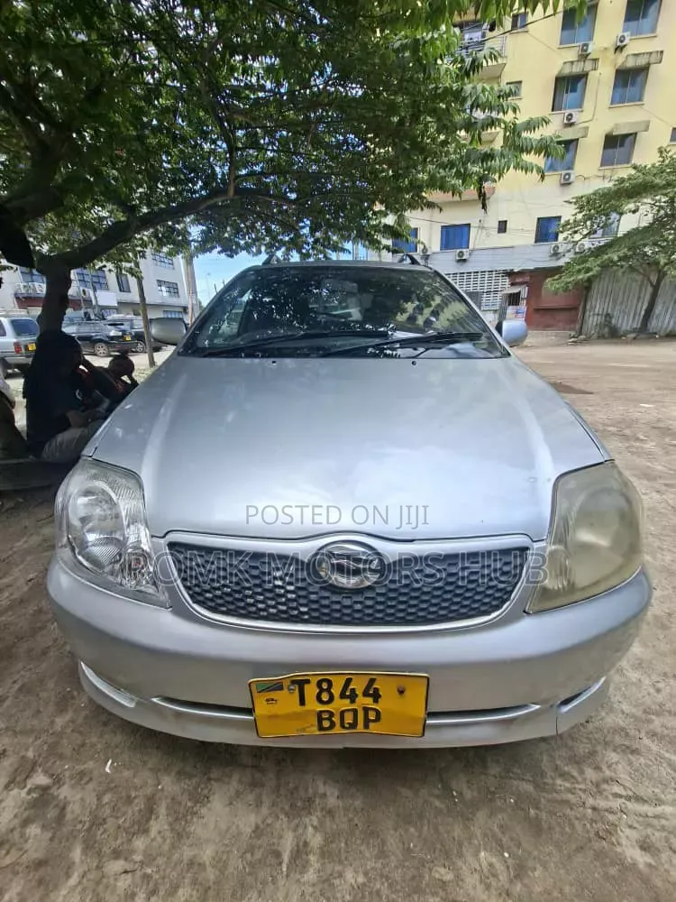 Toyota Allex 2005 Silver