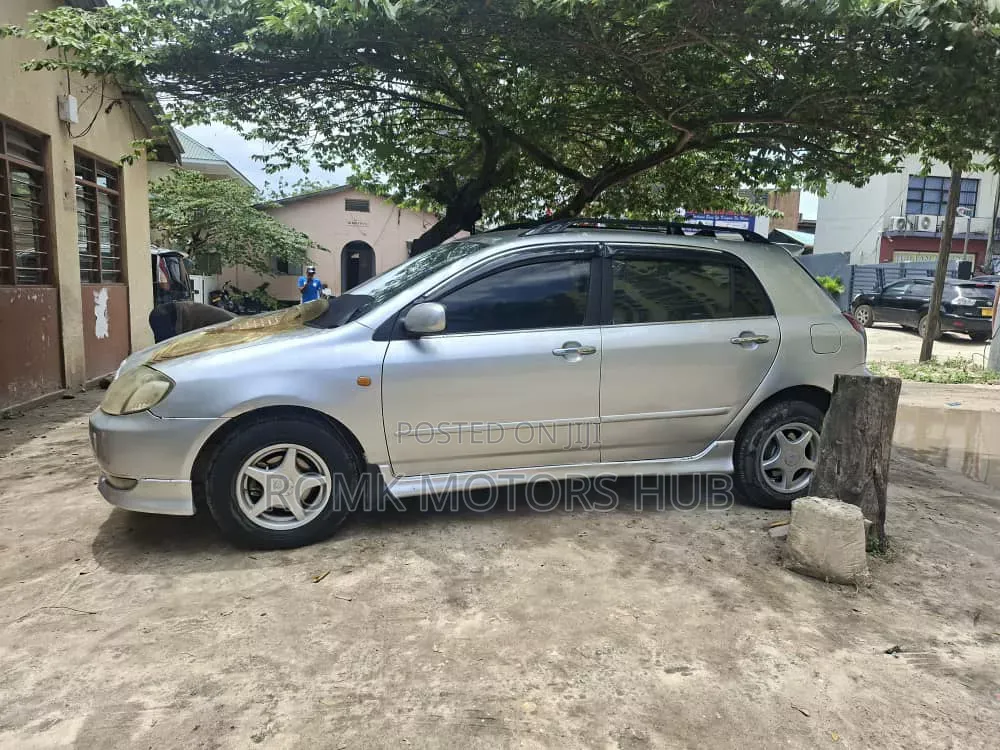 Toyota Allex 2005 Silver