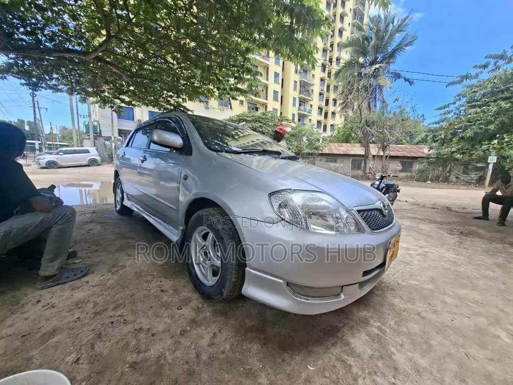 Toyota Allex 2005 Silver