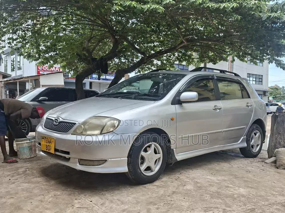Toyota Allex 2005 Silver