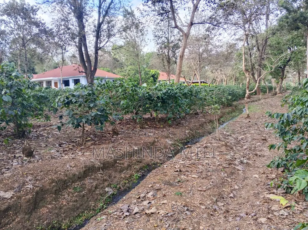 4bdrm House in Ogaden Estate, Tengeru for rent