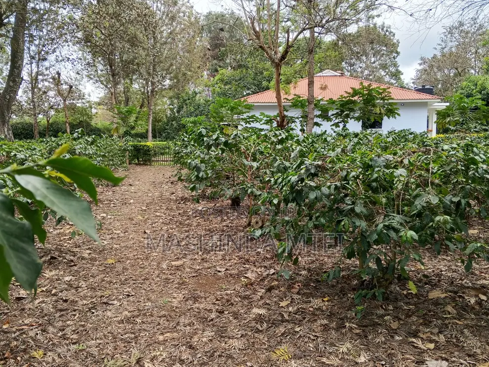 4bdrm House in Ogaden Estate, Tengeru for rent
