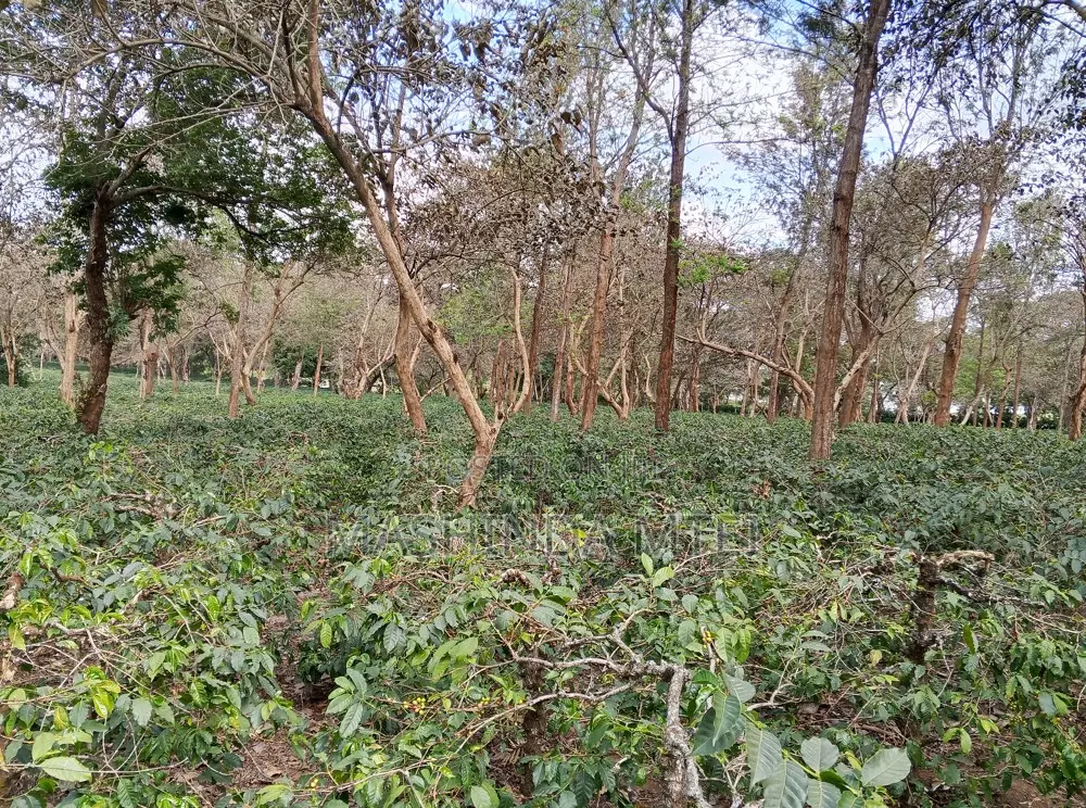 4bdrm House in Ogaden Estate, Tengeru for rent